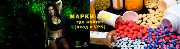 спиды Алзамай