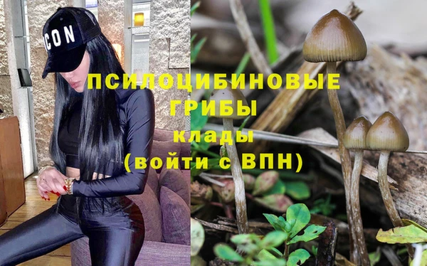 ешки Алексин