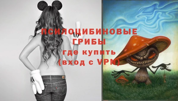 ешки Алексин